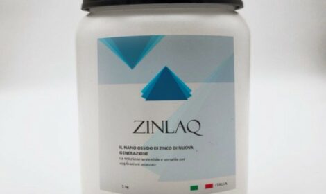 Nano ossido di zinco